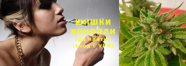 крисы Горняк