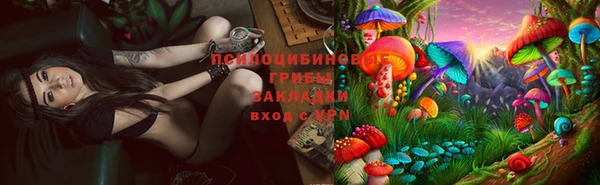 первитин Горнозаводск