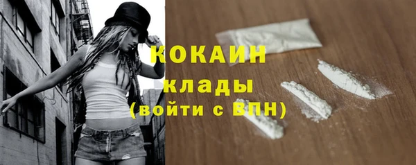 крисы Горняк