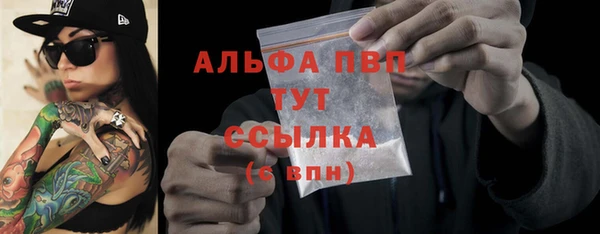 крисы Горняк