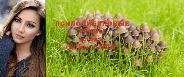 первитин Горнозаводск