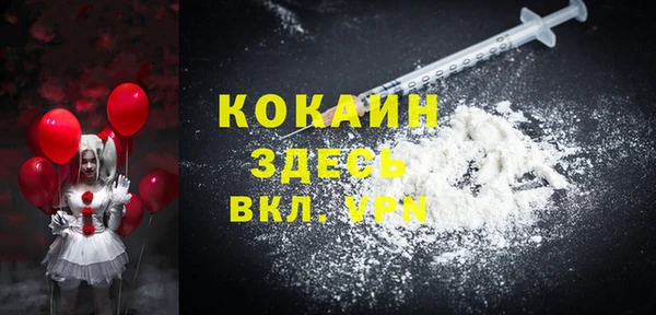 крисы Горняк