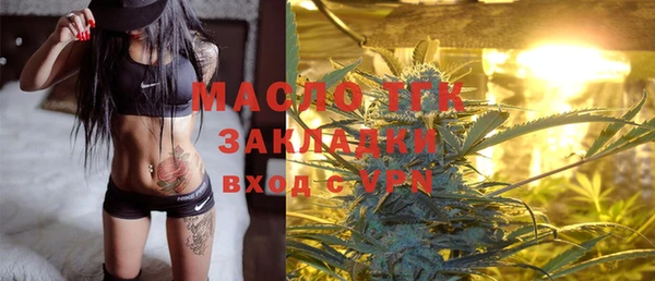 крисы Горняк