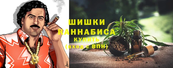 крисы Горняк