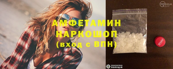 крисы Горняк