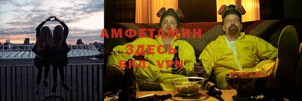крисы Горняк