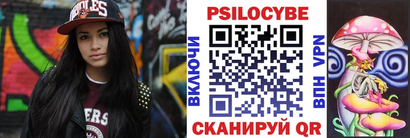 блэк спрут как зайти  где продают наркотики  Артём  Псилоцибиновые грибы Magic Shrooms 